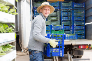 Transport producteurs indépendants